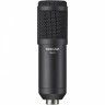 Студийный микрофон TASCAM TM-70 89481